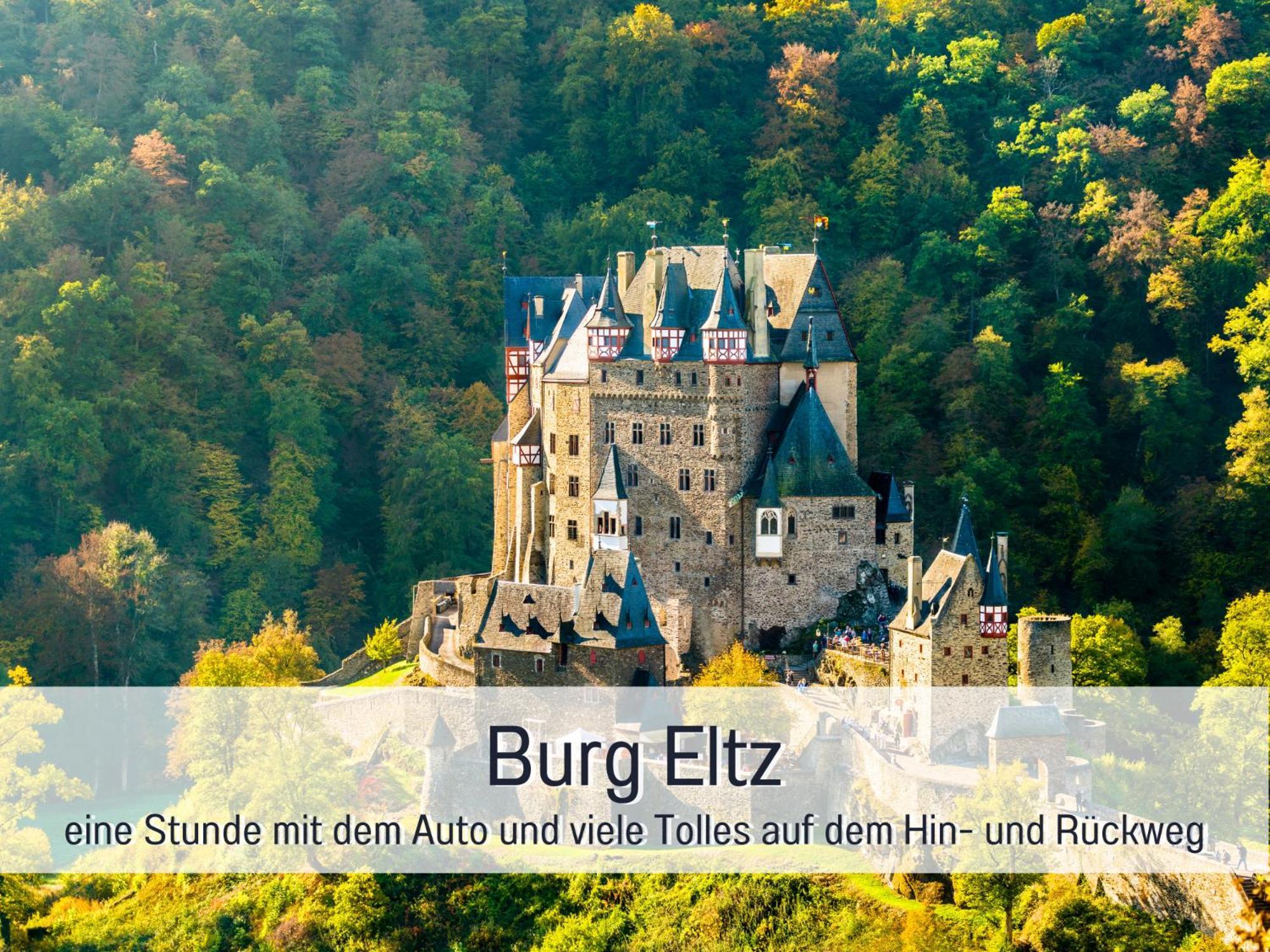 Ferienhaus Schwaab-Scherr, Genau Zwischen Bernkastel-Kues Und Traben-Trarbach, Mit Kostenlosem Oepnv-Ticket Fuer Bus Und Bahn, Parkplaetzen Und Fahrradgarage Эрден Экстерьер фото