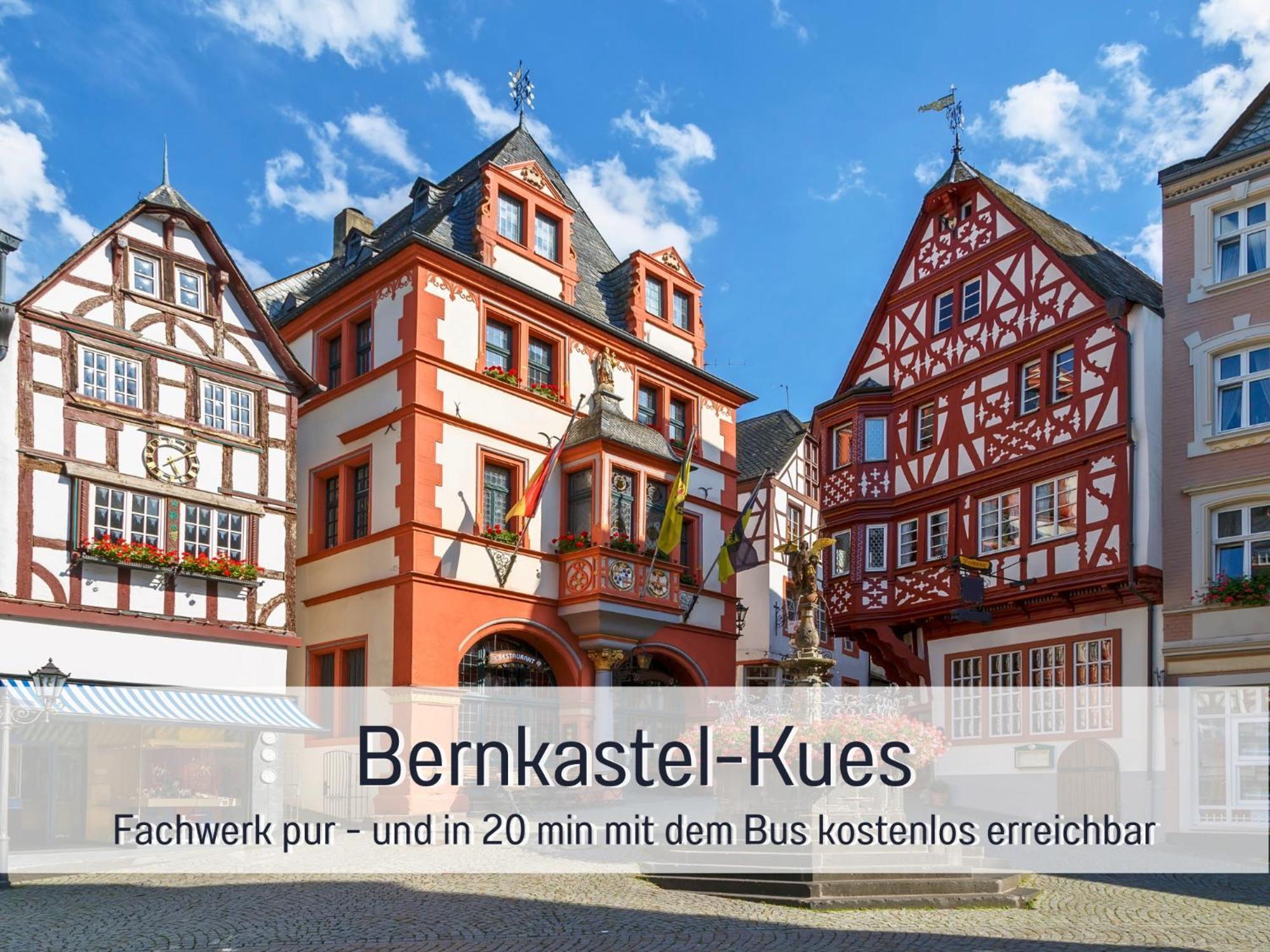 Ferienhaus Schwaab-Scherr, Genau Zwischen Bernkastel-Kues Und Traben-Trarbach, Mit Kostenlosem Oepnv-Ticket Fuer Bus Und Bahn, Parkplaetzen Und Fahrradgarage Эрден Экстерьер фото