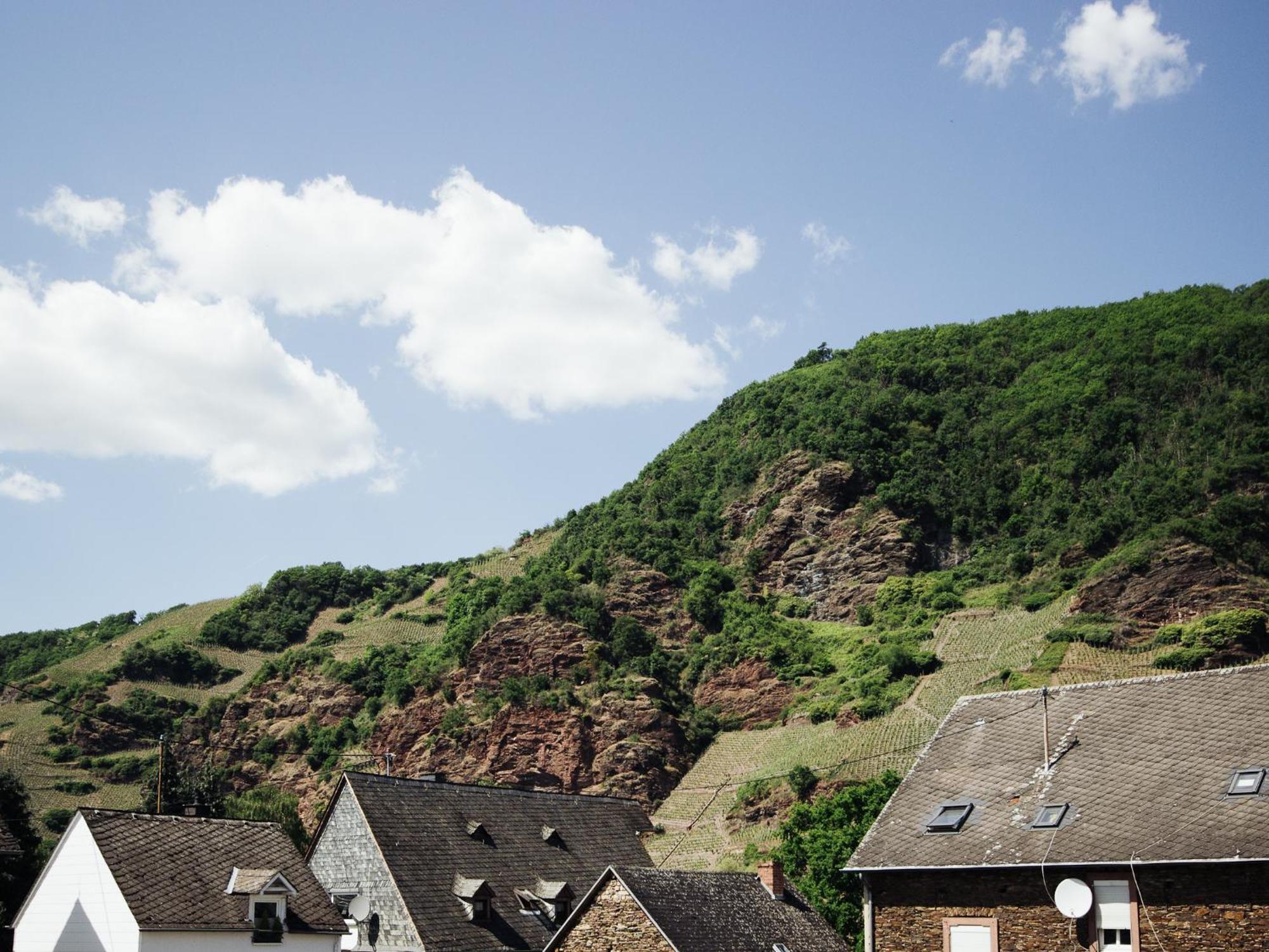 Ferienhaus Schwaab-Scherr, Genau Zwischen Bernkastel-Kues Und Traben-Trarbach, Mit Kostenlosem Oepnv-Ticket Fuer Bus Und Bahn, Parkplaetzen Und Fahrradgarage Эрден Экстерьер фото